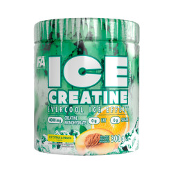 FA Ice Creatine - 300g