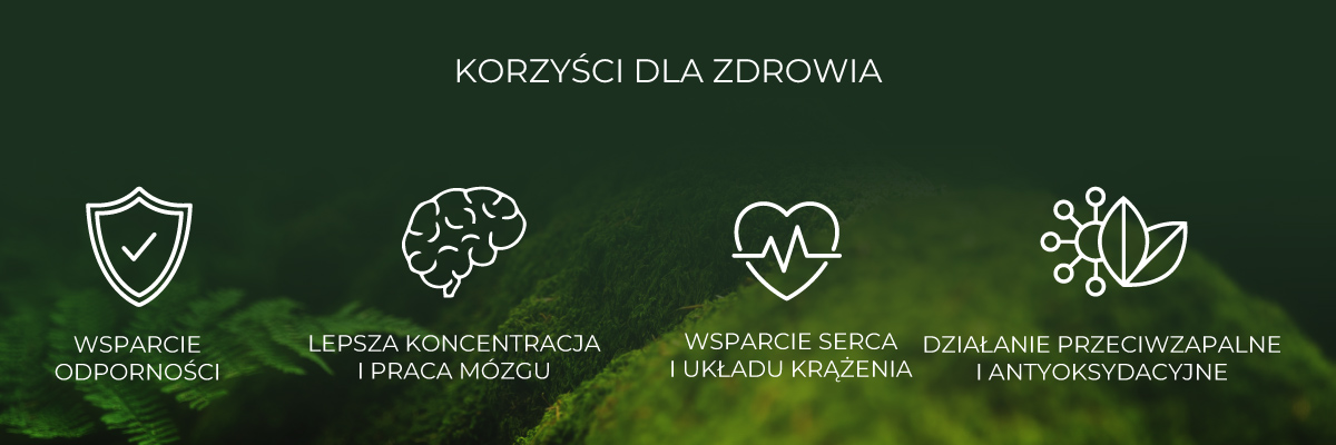 grzyby adaptogenne korzyści dla zdrowia