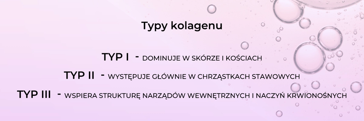 Kolagen - typy kolagenu