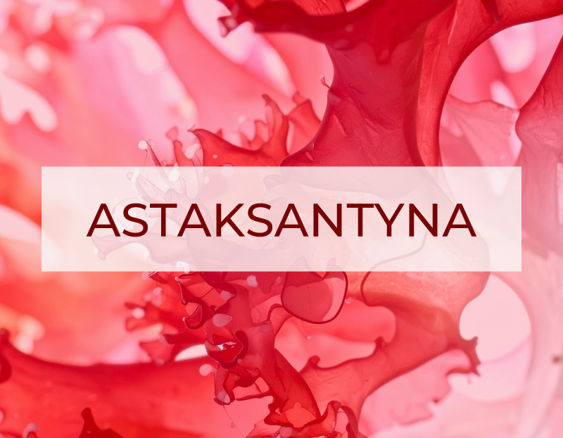 Astaksantyna – tajemniczy składnik o niezwykłych właściwościach. Czy naprawdę działa?