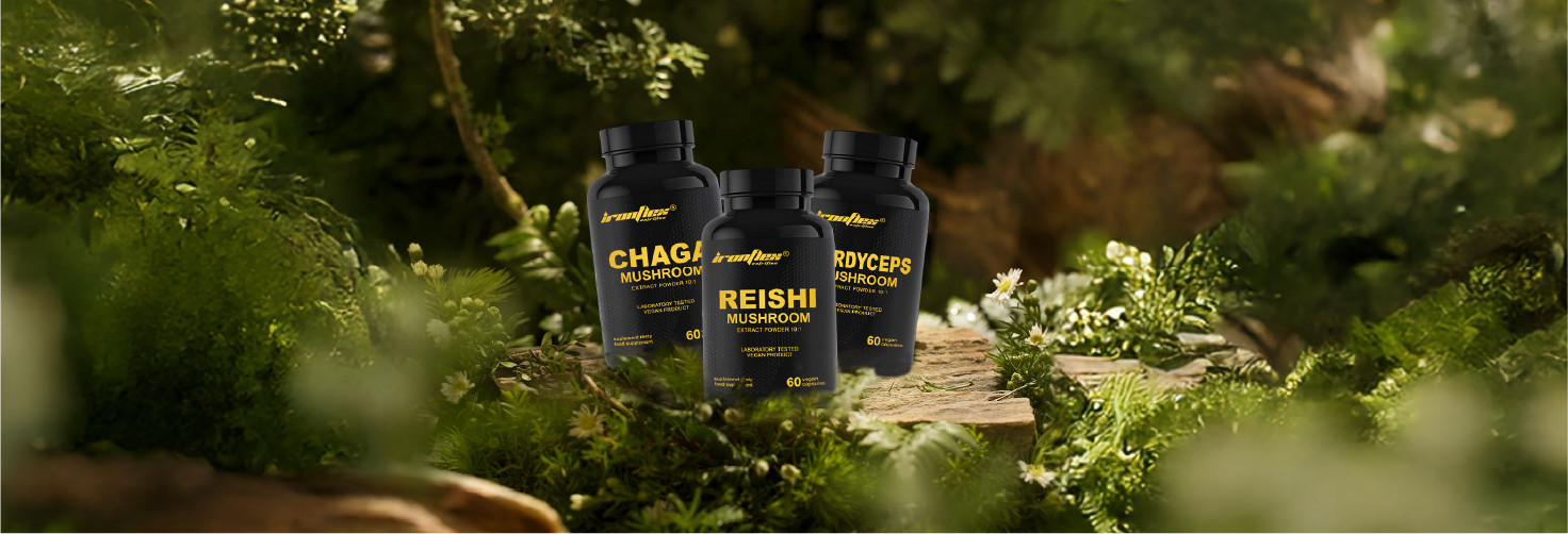 Grzyby adaptogenne - naturalne wsparcie energii, odporności i równowagi