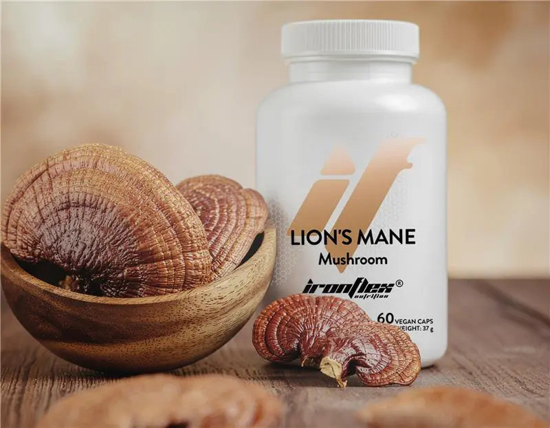 Grzyby adaptogenne - naturalne wsparcie energii, odporności i równowagi